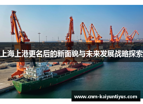 上海上港更名后的新面貌与未来发展战略探索