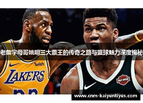 老詹字母哥姚明三大票王的传奇之路与篮球魅力深度揭秘