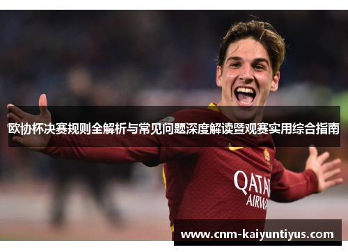 欧协杯决赛规则全解析与常见问题深度解读暨观赛实用综合指南