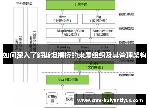 如何深入了解斯坦福桥的隶属组织及其管理架构