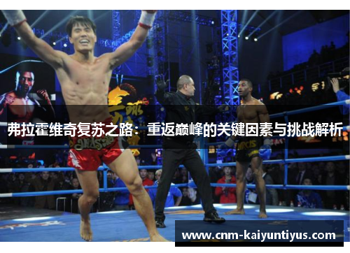 弗拉霍维奇复苏之路：重返巅峰的关键因素与挑战解析