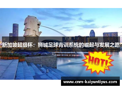 新加坡超级杯：狮城足球青训系统的崛起与发展之路