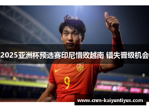 2025亚洲杯预选赛印尼惜败越南 错失晋级机会