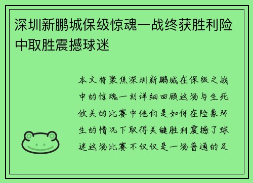深圳新鹏城保级惊魂一战终获胜利险中取胜震撼球迷 深圳新鹏城保级惊魂一战终获胜利险中取胜震撼球迷